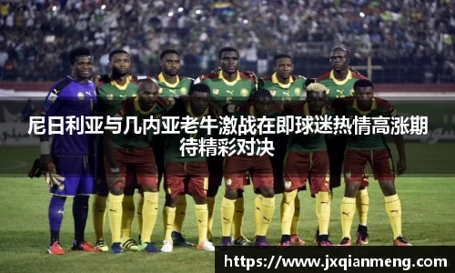 尼日利亚与几内亚老牛激战在即球迷热情高涨期待精彩对决